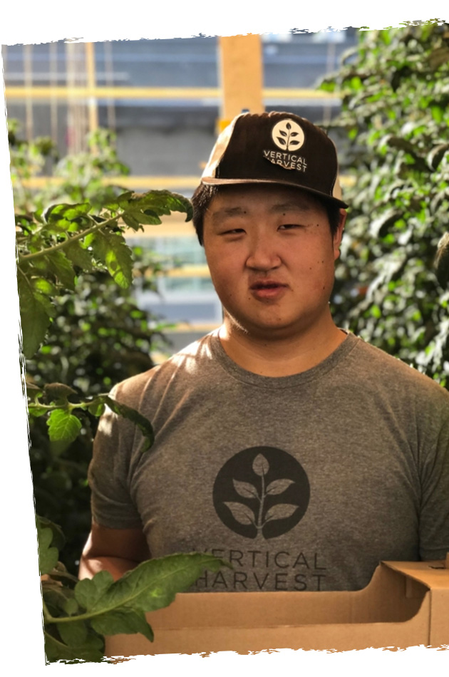 Hydroponic farmer with a disability at work in an organization practicing customized employment