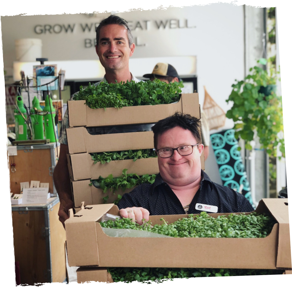 Workers preparing vertically farmed leafy greens for delivery