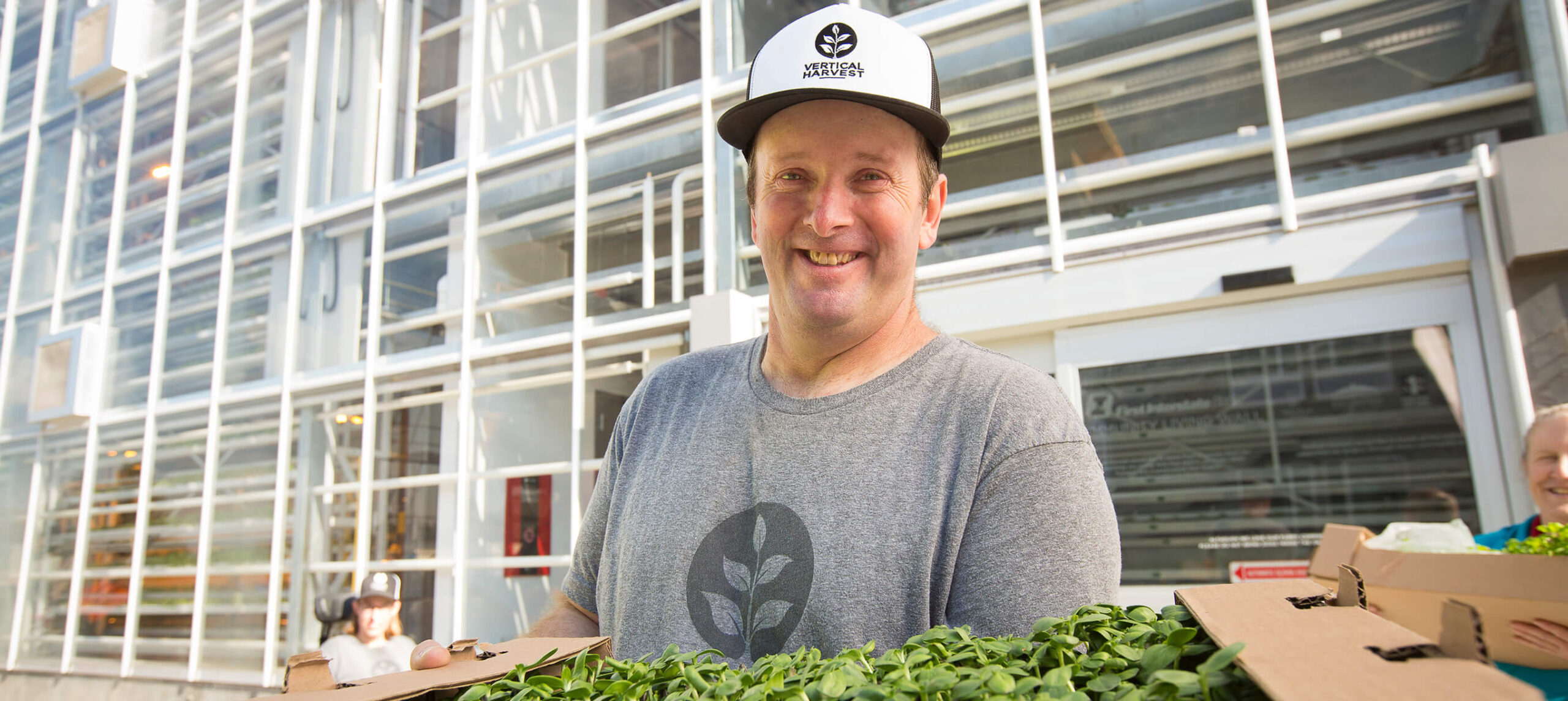 Vertical Harvest employee carrying tray of greens